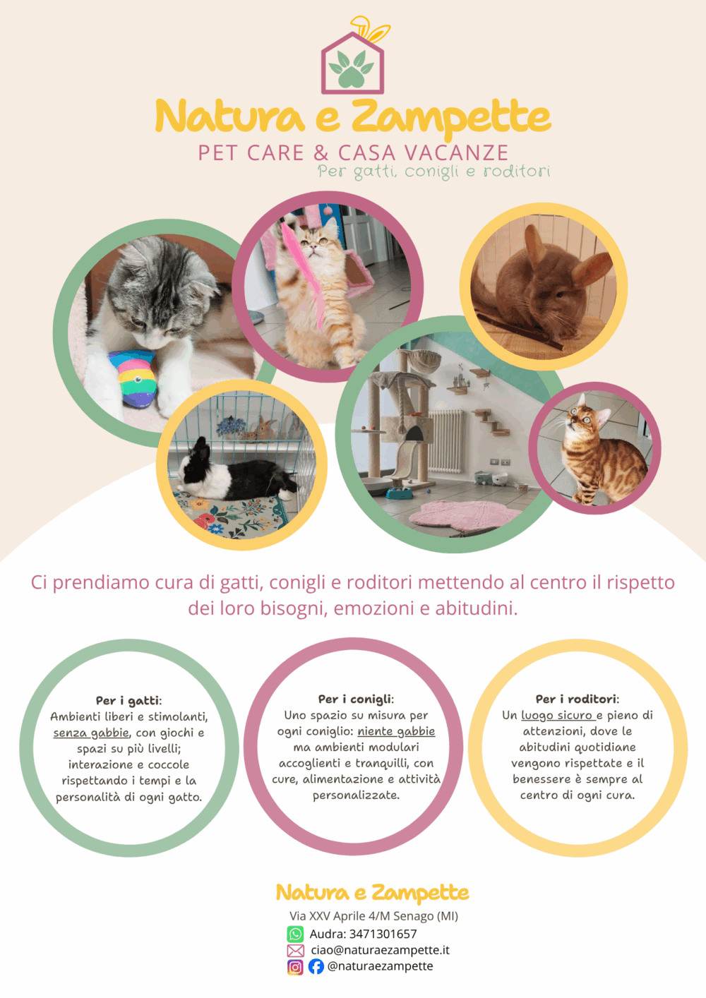 Carica la tua foto o volantino ( facoltativo )