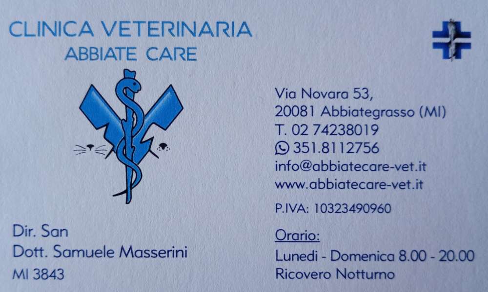 Carica la tua foto o volantino ( facoltativo )