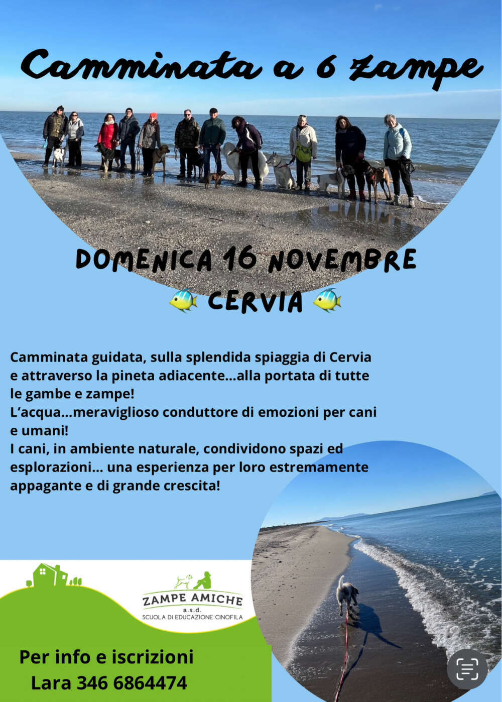 Carica la tua foto o volantino ( facoltativo )