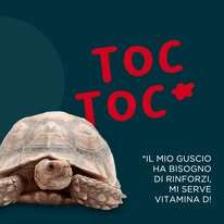 Carica la tua foto o volantino ( facoltativo ) #17 #18 #19