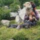 Let Dog Be - Eleonora Biffi