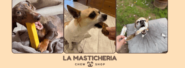 Masticativi naturali shop online