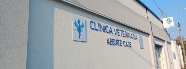 Abbiate Care - Fasanella